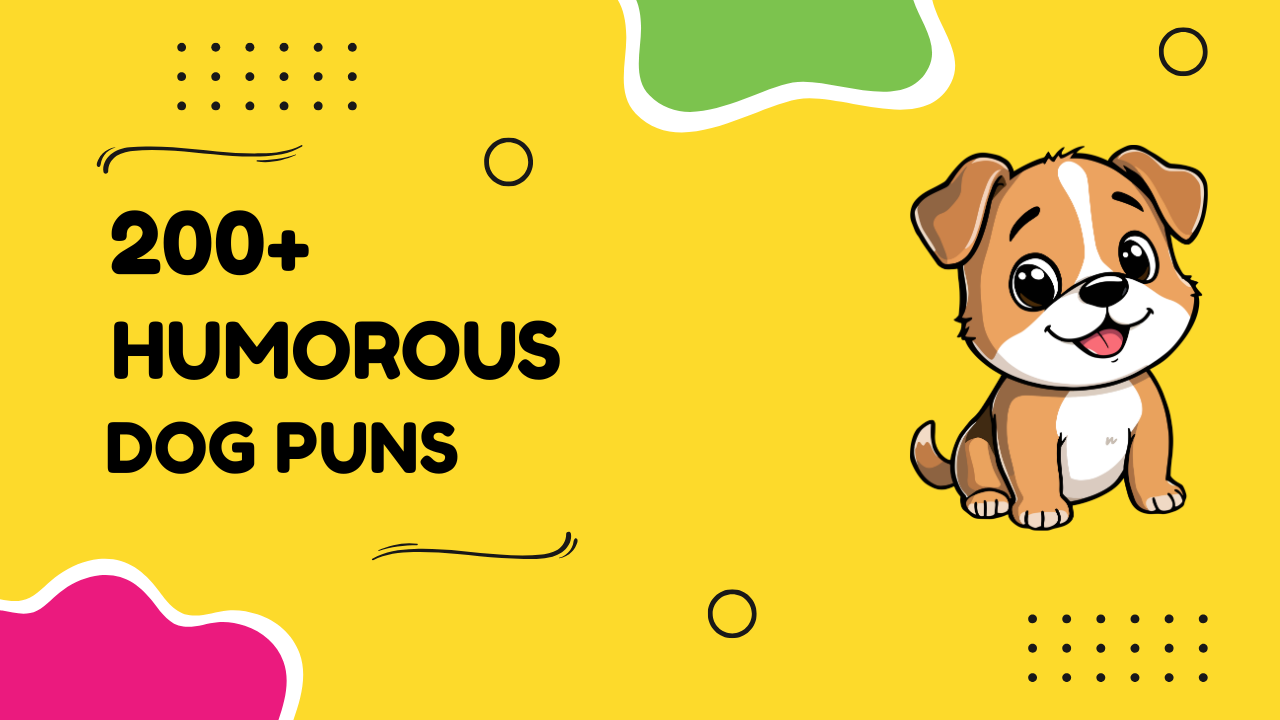 200+ Hilarious Dog Puns That'll Make You Howl with Laughter - punsclub.com