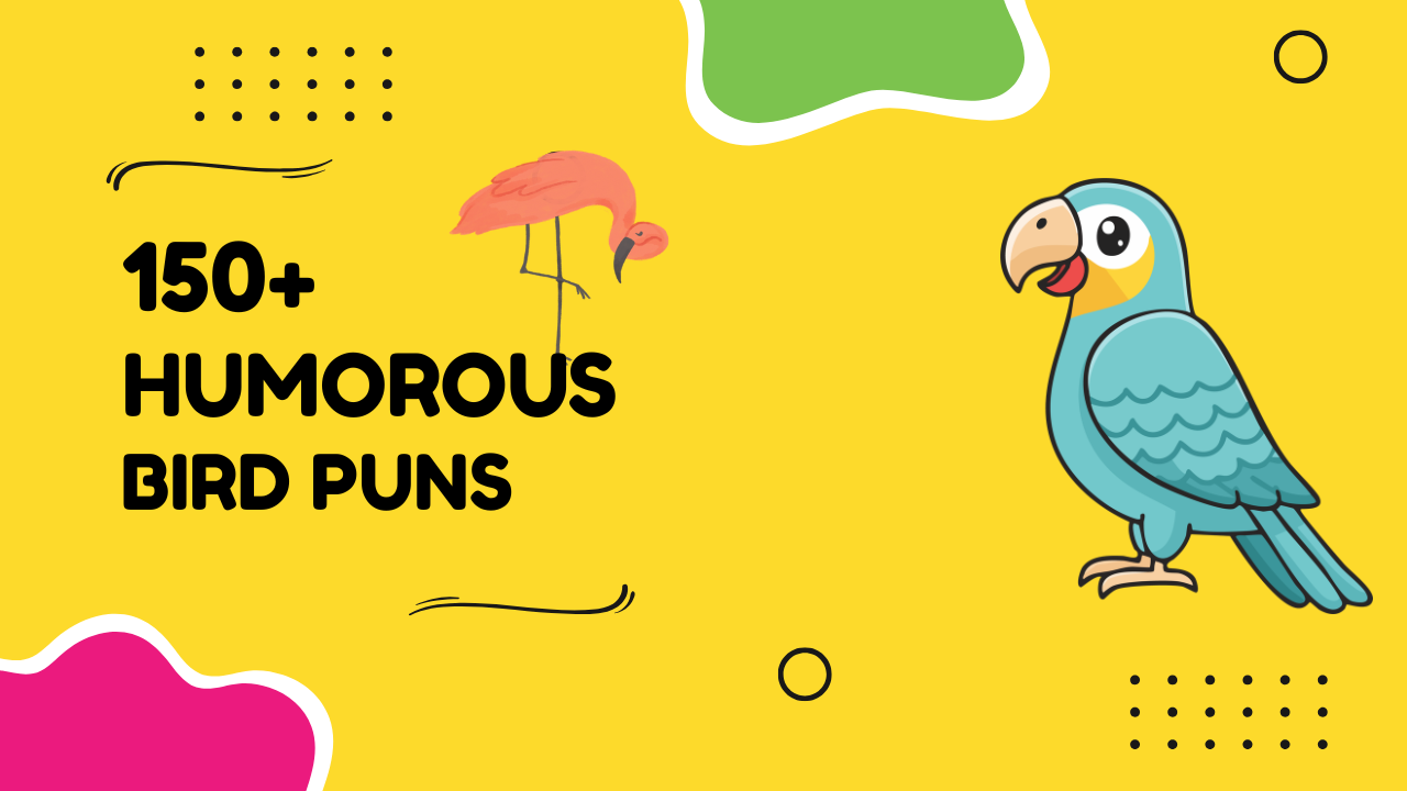 150+ Bird Puns That'll Have You Chirping With Laughter 🐦😂 - punsclub.com