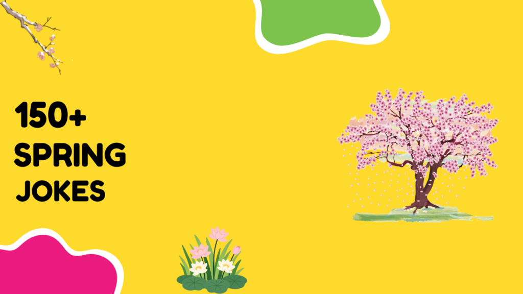 Spring Jokes
