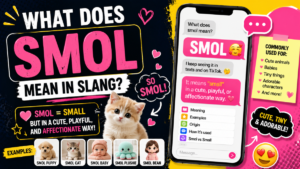 Smol Meaning in Slang: What Does “Smol” Mean in Text?