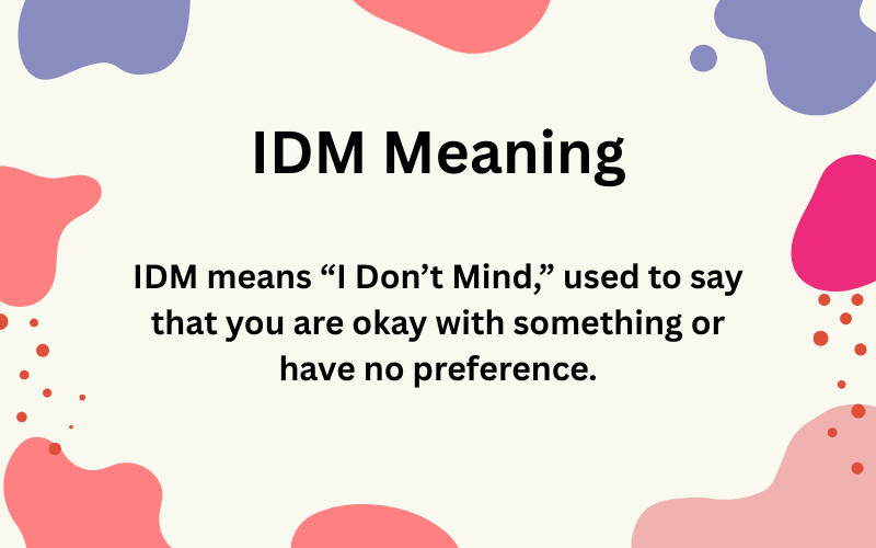 IDM Meaning